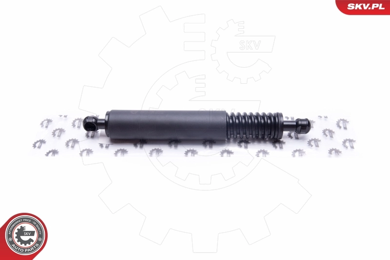 Gas Spring, boot/cargo area
